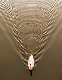 High angle view of boat in lake