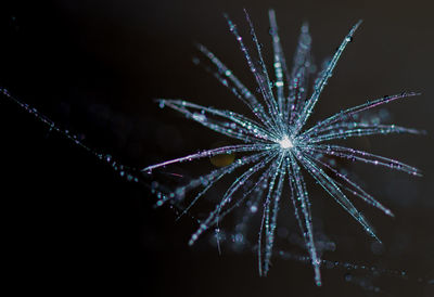 Firework display at night