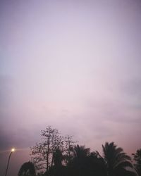 Low angle view of silhouette trees against sky
