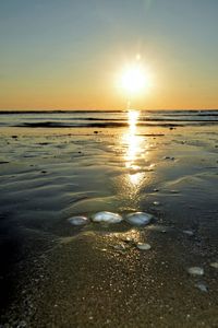 Scenic view of sea during sunset
