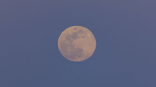 Low angle view of moon against blue sky