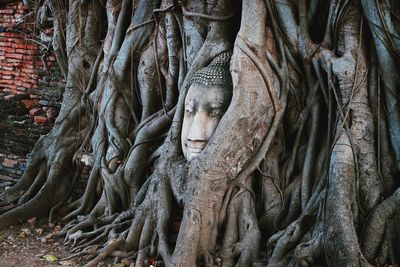 Statue of tree trunk