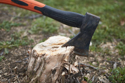 Close-up of dead tree on field