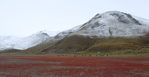 Scenic view of snowcapped mountains