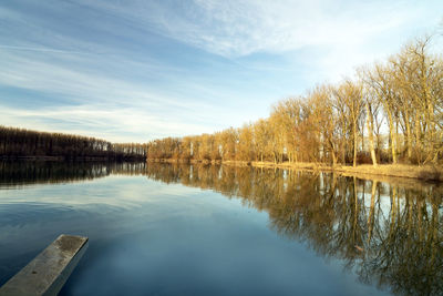 Scenic view of lake in forest against sky