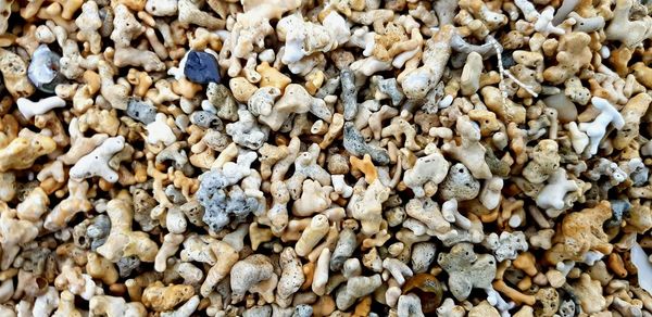 Full frame shot of small colourfull stones and corals 