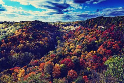 High angle view of trees against sky during autumn