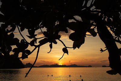 Silhouette tree by sea against orange sky