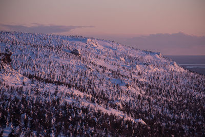 Scenic view of field against sky during sunset