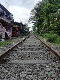 View of railroad tracks along plants