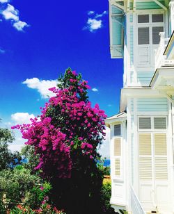 Low angle view of building against blue sky