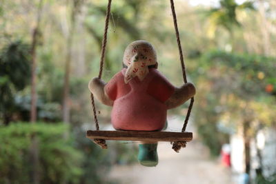 Close-up of stuffed toy hanging on tree