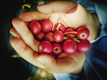 Close-up of hand holding berries at home