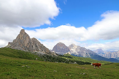 Scenic view of a field