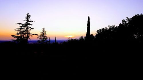 Silhouette trees against clear sky during sunset