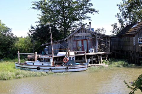 transportation, nautical vessel, mode of transport, boat, moored, tree, water, waterfront, clear sky, built structure, architecture, river, building exterior, travel, day, nature, outdoors, lake, no people, canal