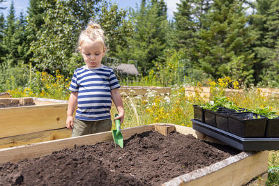 Portrait of smiling boy standing amidst plants