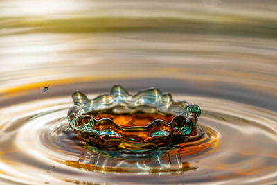 Close-up of drop splashing in water