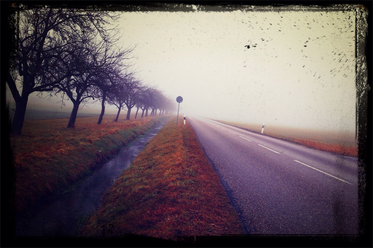 transfer print, the way forward, auto post production filter, diminishing perspective, vanishing point, tree, road, transportation, street, walking, rear view, bare tree, outdoors, fog, day, nature, weather, full length