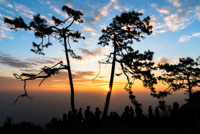 Silhouette trees against sky during sunset