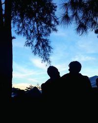 Low angle view of silhouette trees against sky