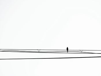 Low angle view of silhouette birds on cable against clear sky