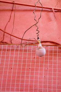 Close up of light bulb in front of pink background 
