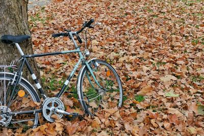 Bicycle leaning on field during autumn