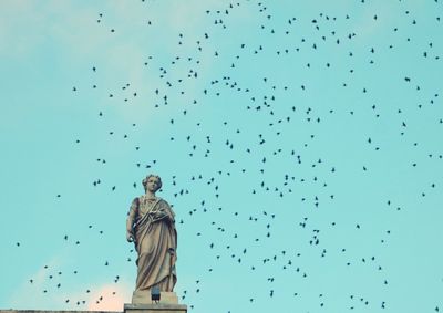 Low angle view of birds flying against sky