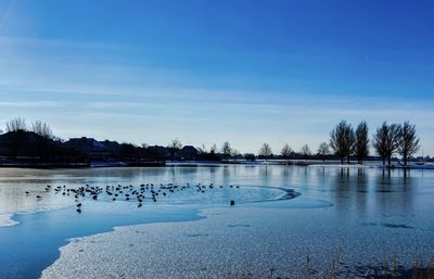 Lake in the winter