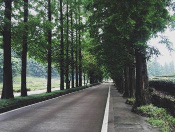 Empty road along trees