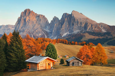 Scenic view of trees and houses against sky during autumn