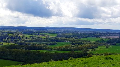 Scenic view of agricultural landscape against sky