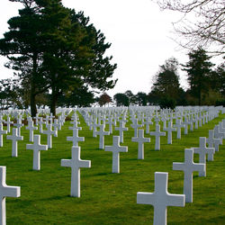 View of cemetery against sky