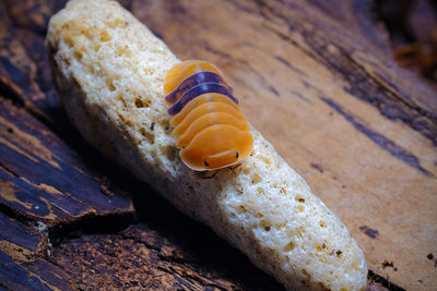 High angle view of bread on cutting board