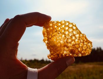 Close-up of hand holding honeycomb  against sky