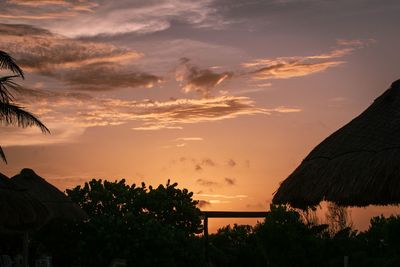 Silhouette trees against sky during sunset
