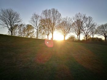 Silhouette of trees on field against sky during sunset