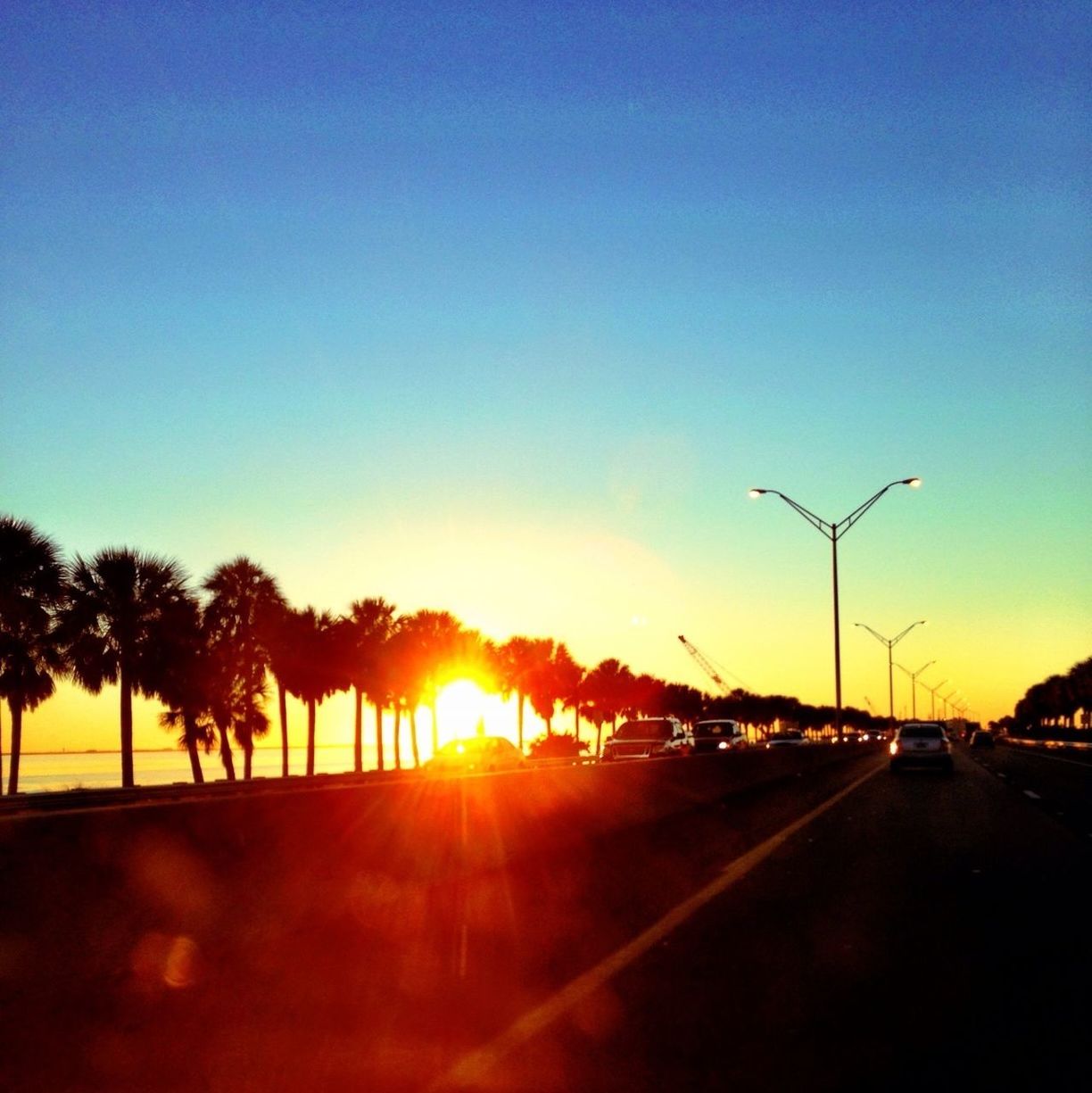 transportation, road, sunset, clear sky, the way forward, car, road marking, sun, land vehicle, copy space, tree, diminishing perspective, street, sunlight, mode of transport, street light, sky, vanishing point, country road, silhouette