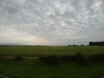 Scenic view of field against sky