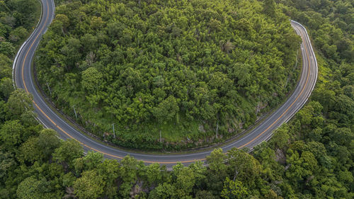 Aerial view of winding road amidst trees in forest