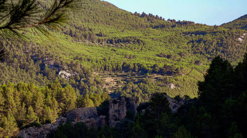 Scenic view of landscape