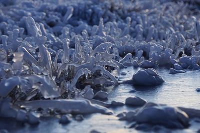 Close-up of frozen water