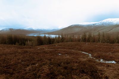 Scenic view of landscape against sky