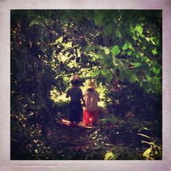 Woman looking at trees