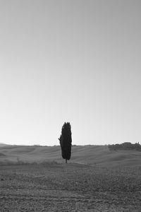 Scenic view of field against clear sky