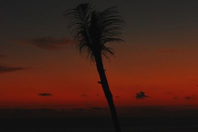 Silhouette palm trees against sky at sunset