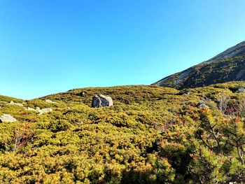 Scenic view of mountains against clear blue sky