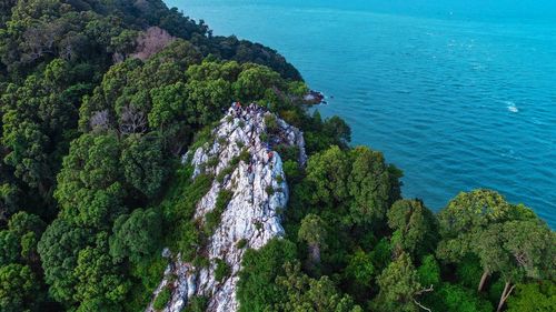 High angle view of trees by sea