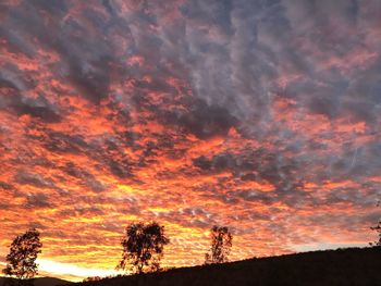 Silhouette trees against dramatic sky during sunset